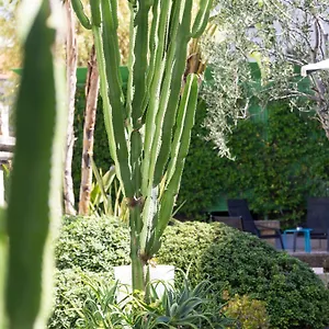 **** Hotel Mercure Centre Notre Dame France